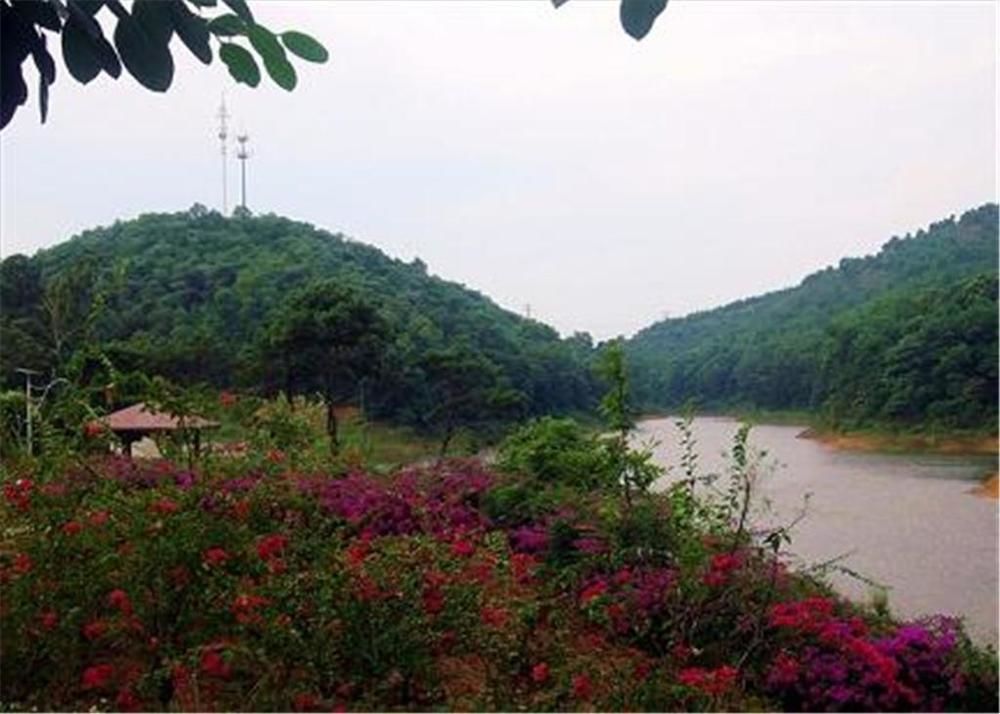 Phoenix Hotel Wuyi Jiangmen Dış mekan fotoğraf
